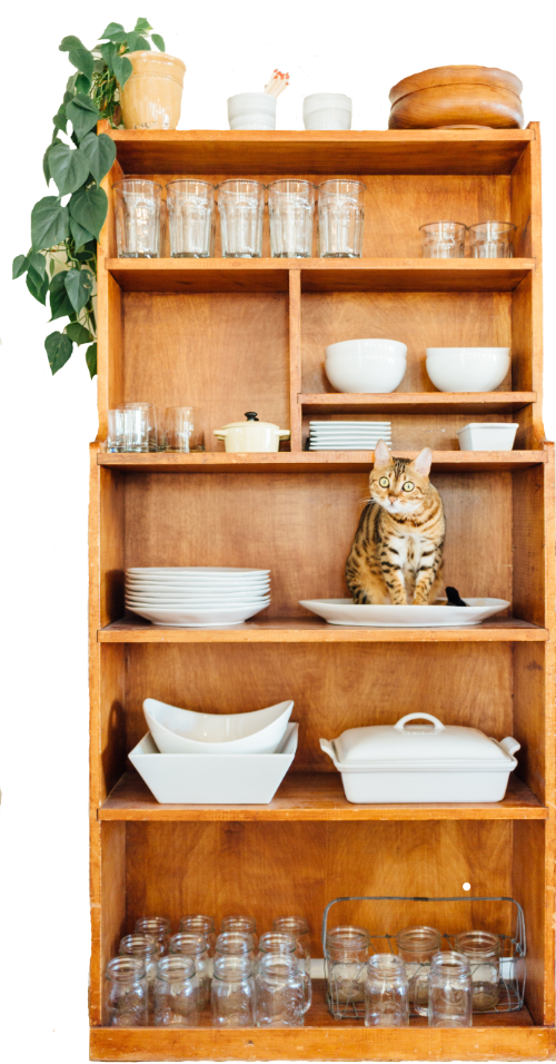 pantry copy